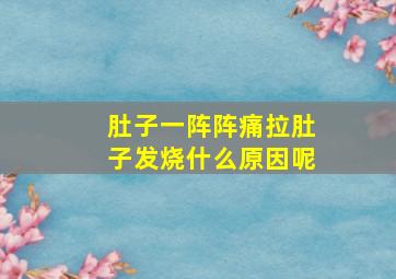 肚子一阵阵痛拉肚子发烧什么原因呢