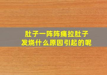 肚子一阵阵痛拉肚子发烧什么原因引起的呢