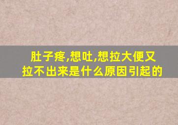 肚子疼,想吐,想拉大便又拉不出来是什么原因引起的