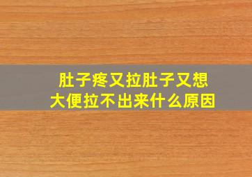 肚子疼又拉肚子又想大便拉不出来什么原因