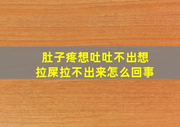 肚子疼想吐吐不出想拉屎拉不出来怎么回事