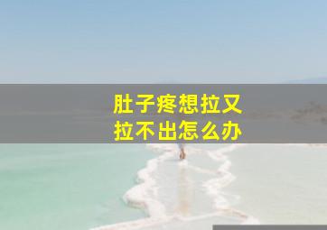 肚子疼想拉又拉不出怎么办