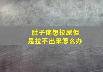 肚子疼想拉屎但是拉不出来怎么办