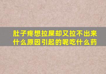 肚子疼想拉屎却又拉不出来什么原因引起的呢吃什么药