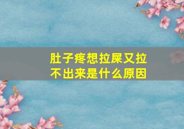 肚子疼想拉屎又拉不出来是什么原因