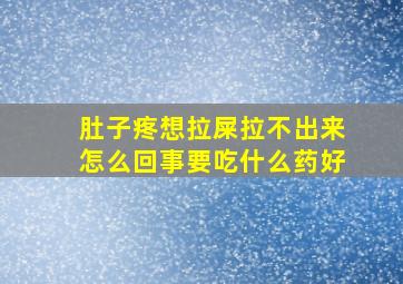 肚子疼想拉屎拉不出来怎么回事要吃什么药好