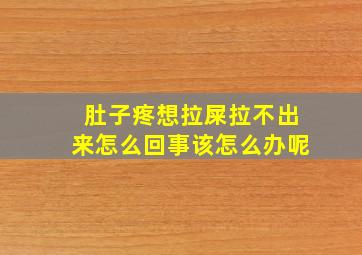 肚子疼想拉屎拉不出来怎么回事该怎么办呢