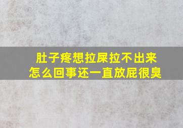 肚子疼想拉屎拉不出来怎么回事还一直放屁很臭