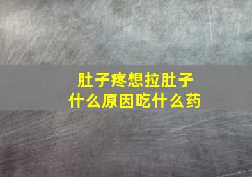 肚子疼想拉肚子什么原因吃什么药