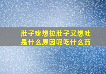 肚子疼想拉肚子又想吐是什么原因呢吃什么药