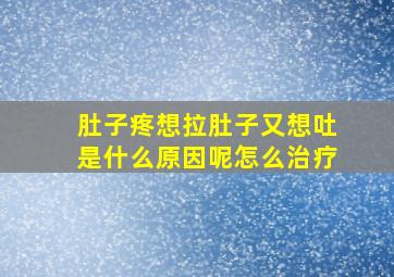 肚子疼想拉肚子又想吐是什么原因呢怎么治疗