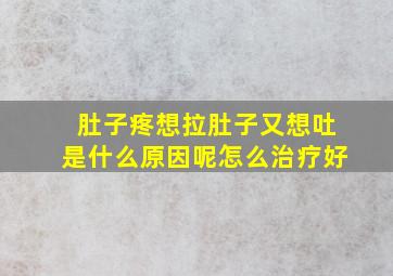 肚子疼想拉肚子又想吐是什么原因呢怎么治疗好