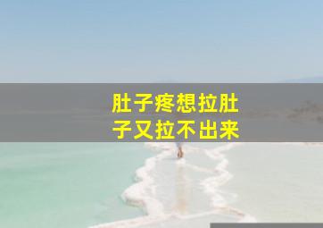 肚子疼想拉肚子又拉不出来