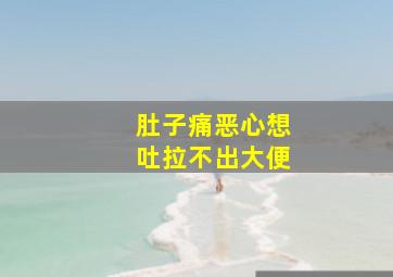 肚子痛恶心想吐拉不出大便