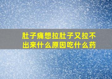 肚子痛想拉肚子又拉不出来什么原因吃什么药