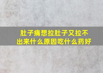 肚子痛想拉肚子又拉不出来什么原因吃什么药好