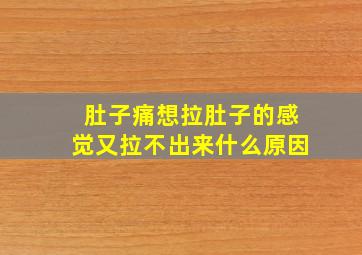 肚子痛想拉肚子的感觉又拉不出来什么原因