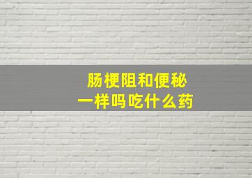 肠梗阻和便秘一样吗吃什么药