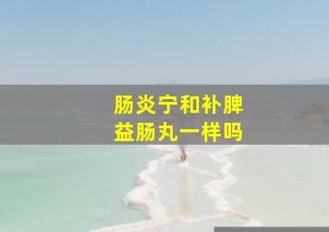 肠炎宁和补脾益肠丸一样吗