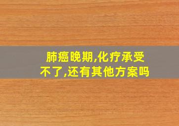 肺癌晚期,化疗承受不了,还有其他方案吗