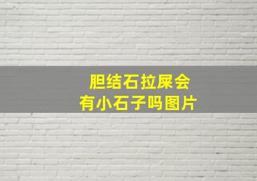 胆结石拉屎会有小石子吗图片