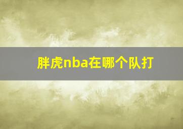 胖虎nba在哪个队打