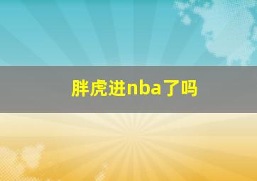 胖虎进nba了吗