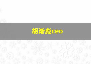 胡渐彪ceo