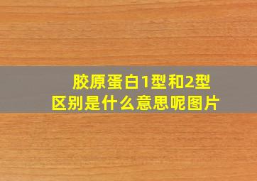 胶原蛋白1型和2型区别是什么意思呢图片