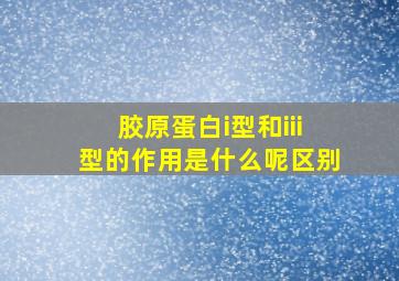 胶原蛋白i型和iii型的作用是什么呢区别