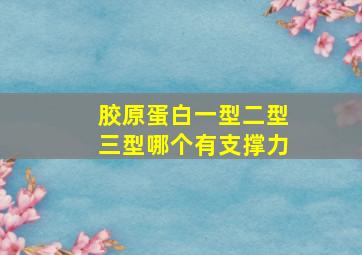 胶原蛋白一型二型三型哪个有支撑力