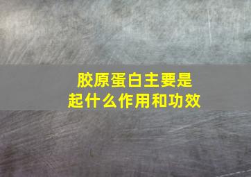 胶原蛋白主要是起什么作用和功效