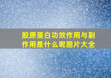 胶原蛋白功效作用与副作用是什么呢图片大全