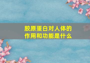 胶原蛋白对人体的作用和功能是什么