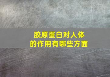 胶原蛋白对人体的作用有哪些方面