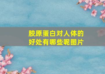 胶原蛋白对人体的好处有哪些呢图片