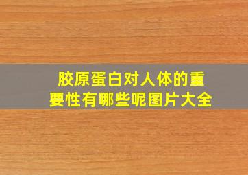 胶原蛋白对人体的重要性有哪些呢图片大全