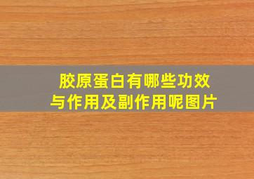 胶原蛋白有哪些功效与作用及副作用呢图片