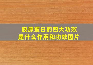 胶原蛋白的四大功效是什么作用和功效图片