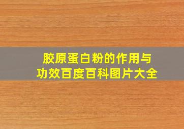 胶原蛋白粉的作用与功效百度百科图片大全