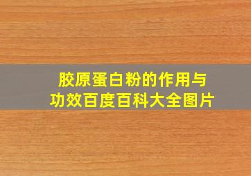 胶原蛋白粉的作用与功效百度百科大全图片