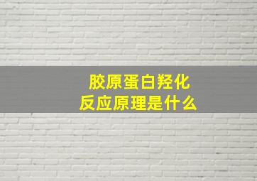 胶原蛋白羟化反应原理是什么