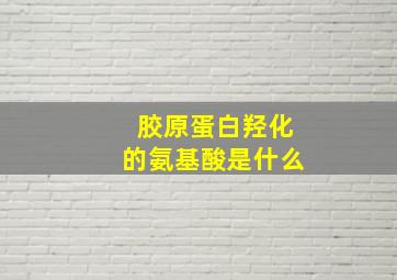 胶原蛋白羟化的氨基酸是什么