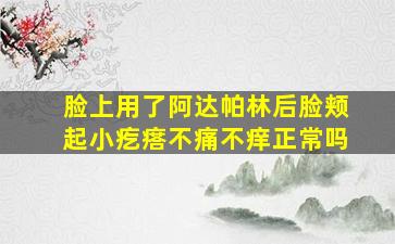 脸上用了阿达帕林后脸颊起小疙瘩不痛不痒正常吗