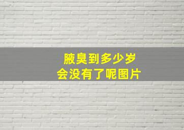 腋臭到多少岁会没有了呢图片