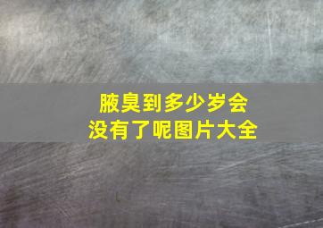 腋臭到多少岁会没有了呢图片大全