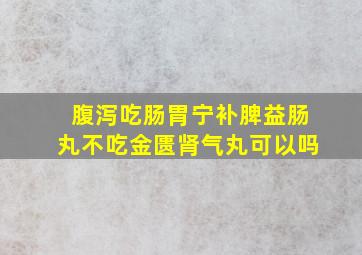 腹泻吃肠胃宁补脾益肠丸不吃金匮肾气丸可以吗