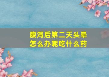 腹泻后第二天头晕怎么办呢吃什么药