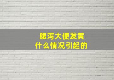 腹泻大便发黄什么情况引起的