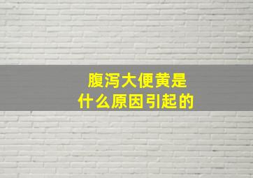 腹泻大便黄是什么原因引起的